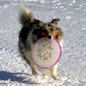 Nougatine aux sports d'hiver !