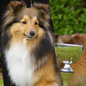 Berroye Blonde du Grand Pr� d'Ortignac (5�me EXC), � Val�rie DUPUY.