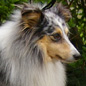 Anouck du Royaume d'Ang�lique, dit Athos (8�me EXC) � Jean-Paul ROUSSELOT. (Photo : Lex GATINEAU)