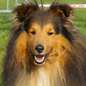 Atol de Goazilec (EXC), � Monique GUYADER.