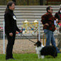 Choupy Brun du Grand Pr� d'Ortignac (1er TP) � Val�rie MOREAU-BONDU.