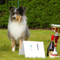 Blue Boomer of Wind River (1er EXC). Propri�taire et productrice : Genevi�ve DAKAN.