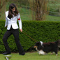 Vicky le Noir de l'Esterazur du Lac (2�me EXC) aux allures. Propri�taires : M. et Mme GAUTHIER.