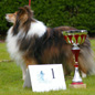 M�lodie Blonde du Grand Pr� d'Ortignac (1�re EXC en classe v�n�rable femelles), 12 ans. Propri�taires : M. et Mme LASSADE.