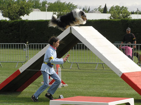 Ades et sa petite maîtresse à l'agility