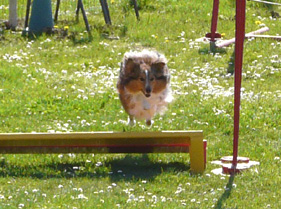 Boaster à l'agility