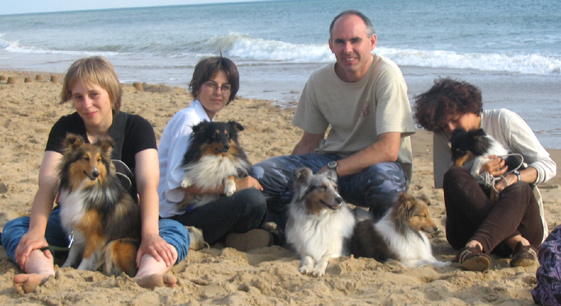 promenade sur une plage vendéenne entre membres du forum Lovely Shelties