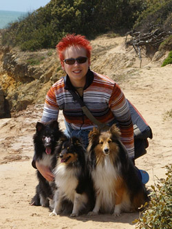 Lex et ses shelties, Lorelei, Cheyenne et Yukari